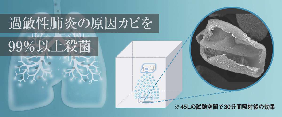 画像：過敏性肺炎の原因カビを99％以上殺菌することを確認