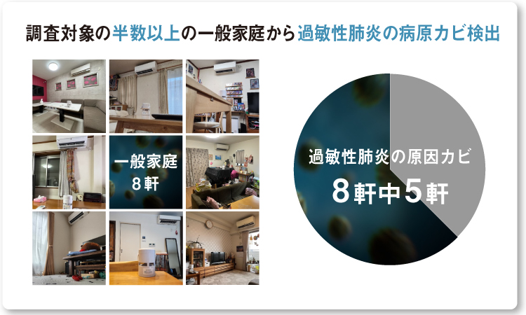 グラフ：調査対象の一般家庭8軒中5軒で過敏性肺炎の原因カビが検出