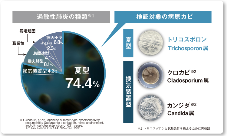 画像：過敏性肺炎の種類のグラフ。検証対象となった過敏性肺炎の7割を占める3種の原因カビ