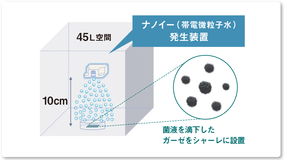 画像：実験装置