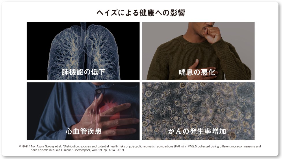 画像：ヘイズによる健康への影響 肺機能の低下、喘息の悪化、心血管疾患、がんの発生率の増加