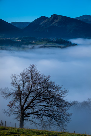 S1R, LEICA APO-SUMMICRON-SL 1:2/90 ASPH., 1/1000, F5.6, ISO 100, 90mm / ©Daimon Xanthopoulos