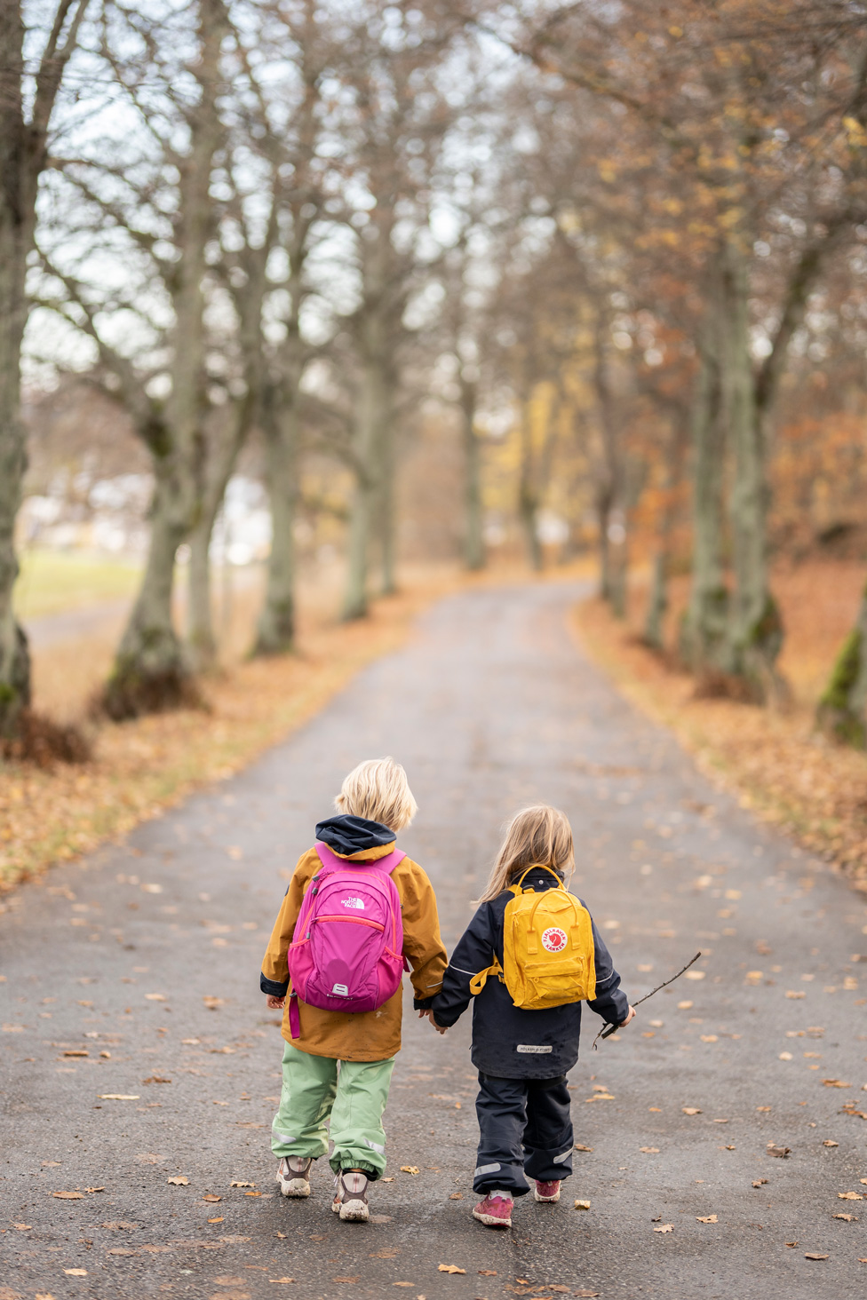 S1, SIGMA 85mm F1.4 DG HSM | Art 016, 1/1600 sec, F1.4, ISO 200, 85mm / ©Jonas Borg