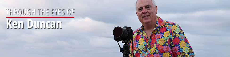 NEW THROUGH THE EYES OF PROFESSIONALS