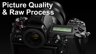 Picture Quality and Raw Process