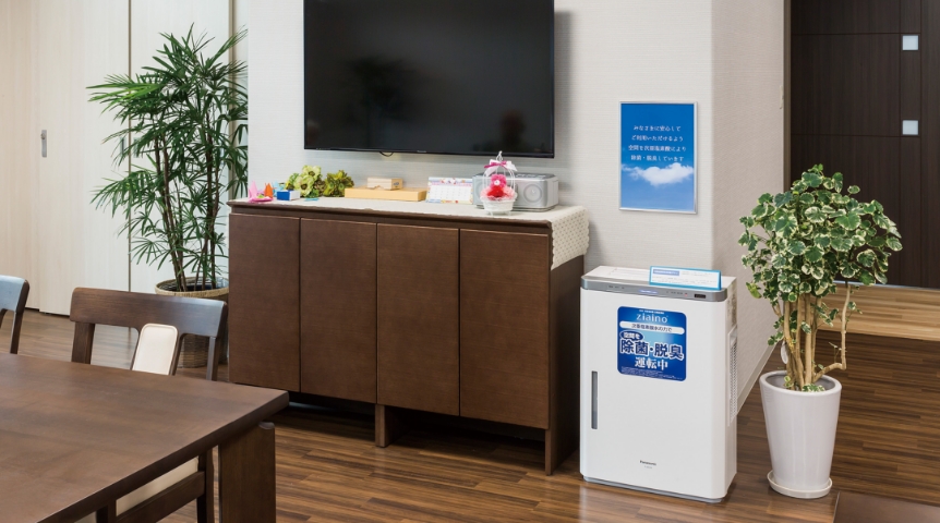 Small-scale Multifunctional Home Hanaemi