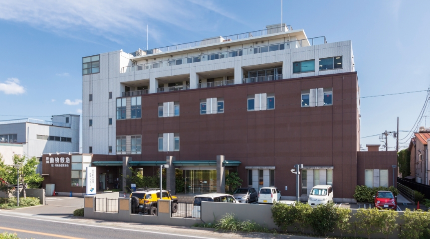 Japan Animal Referral Medical Center