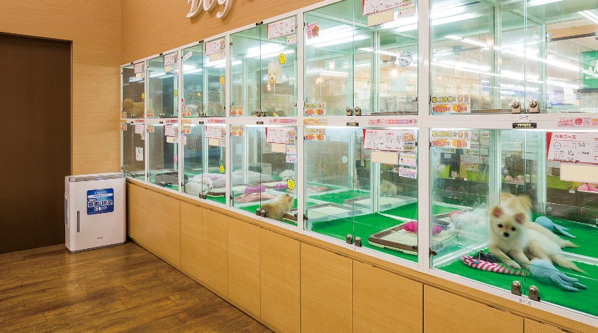 Airport Dog Center Namba