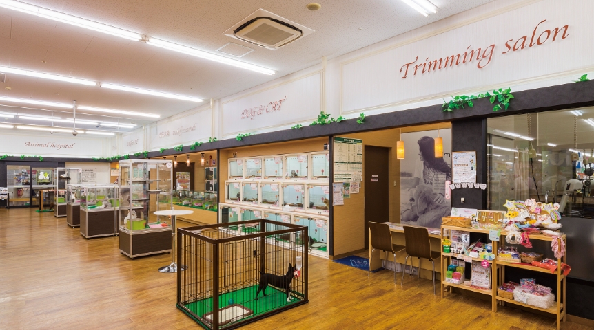 Airport Dog Center Namba