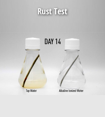 Rust Test