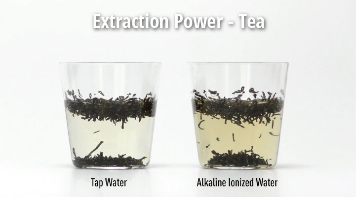 Extraction Power - Tea