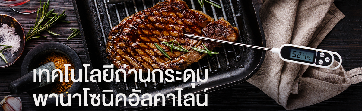 เทคโนโลยีถ่านกระดุมพานาโซนิคอัลคาไลน์