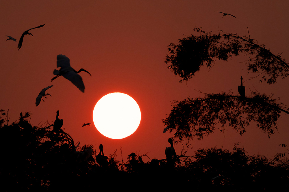 Kunnioitusta ja rakkautta eläimiin