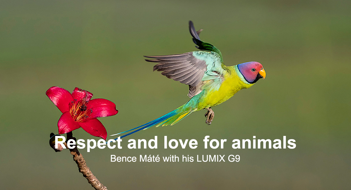 Kunnioitusta ja rakkautta eläimiin