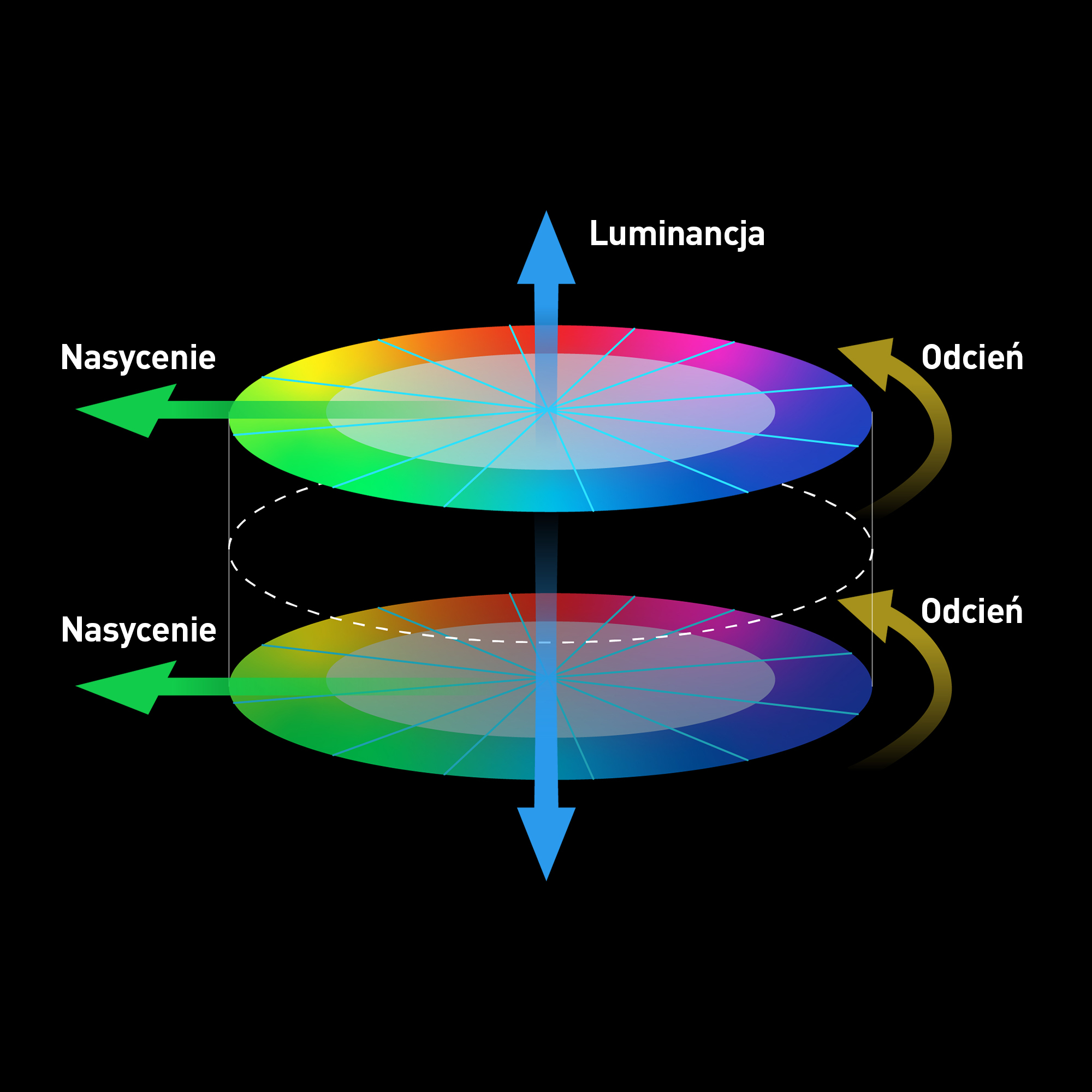 Technologia nauki o barwach LUMIX