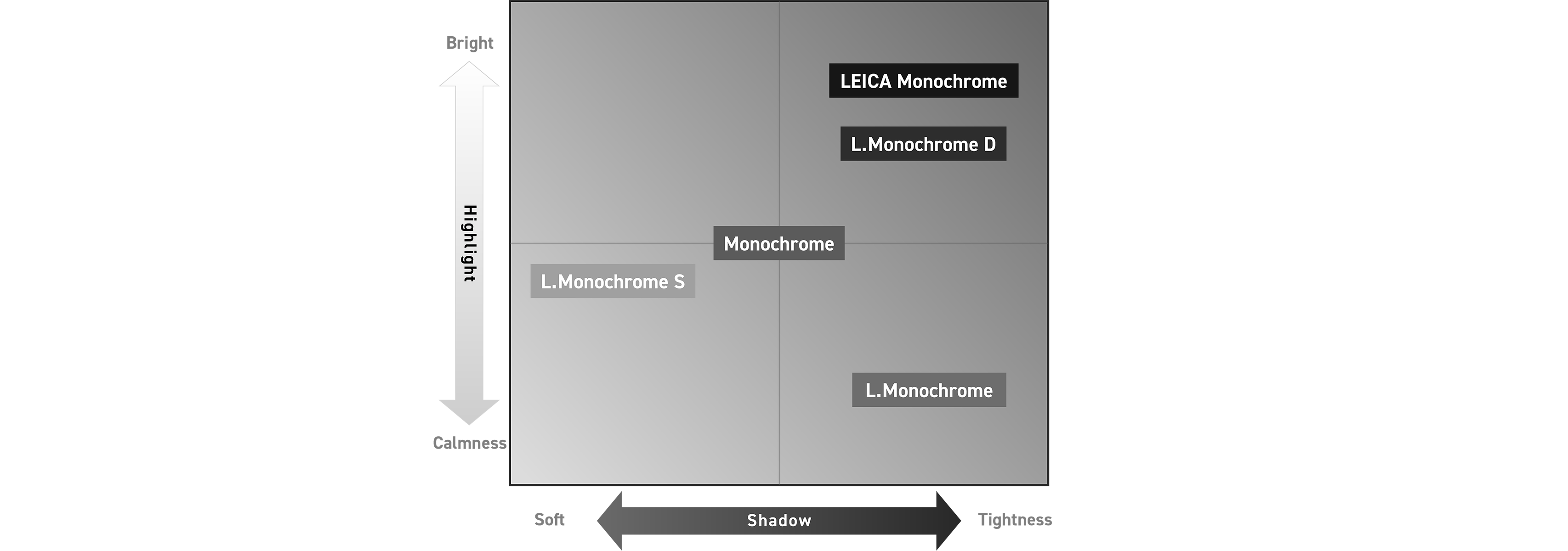 Photo Style: Monochrome