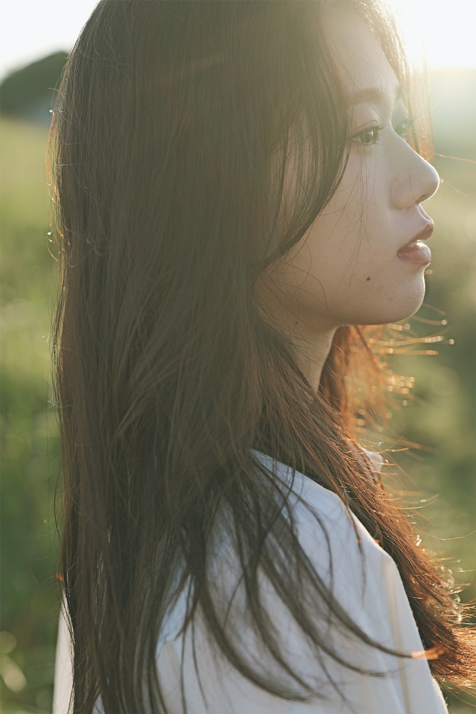 LUT "Backlight-N" Gallery 2