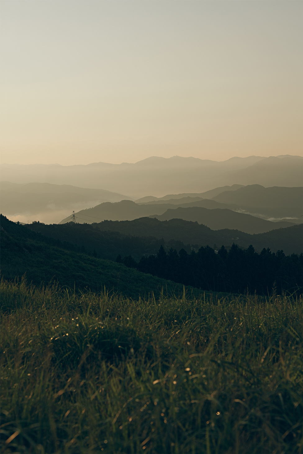 LUT "Backlight-N" Gallery 3