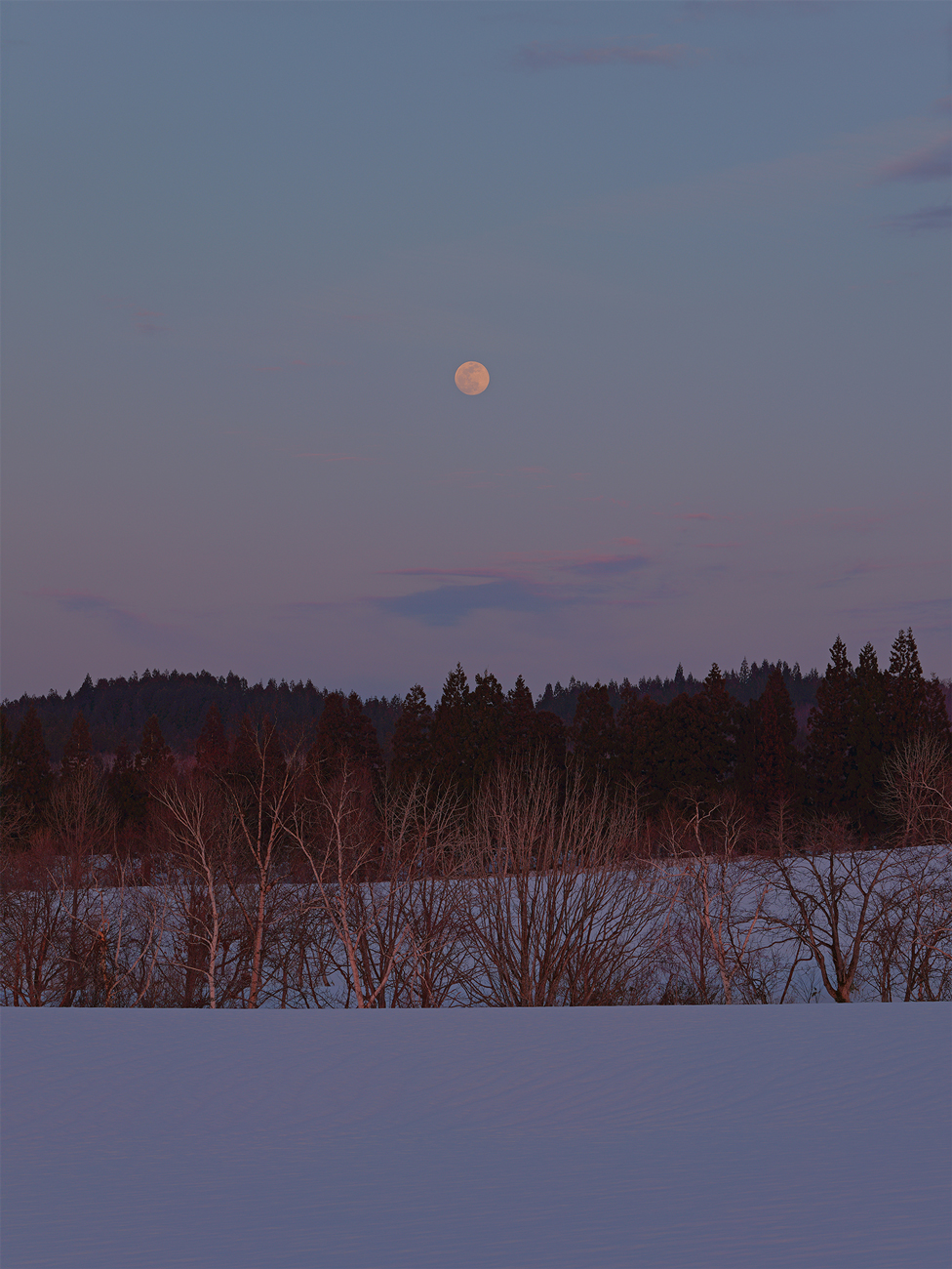 LUT "Nisebeni" Gallery 2