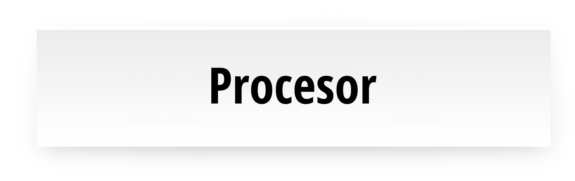 Processor