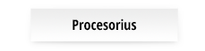 Procesorius