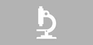 リンク：研究のあゆみ