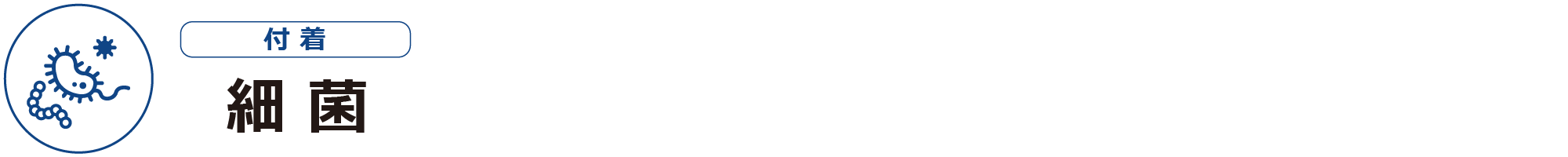 細菌ー付着