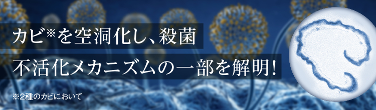  リンク：カビを空洞化し、殺菌。不活化メカニズムの一部を解明