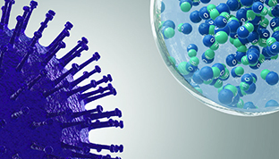 Hydroxyl radicals contained in water reach bacteria.