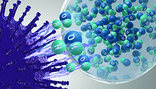 Radicals remove hydrogen from proteins in bacteria.