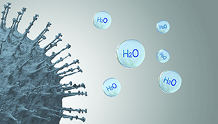 Proteins in bacteria are denatured (OH+H=H2O) and bacterial activity is inhibited.