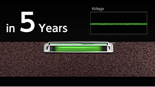 Long-term test