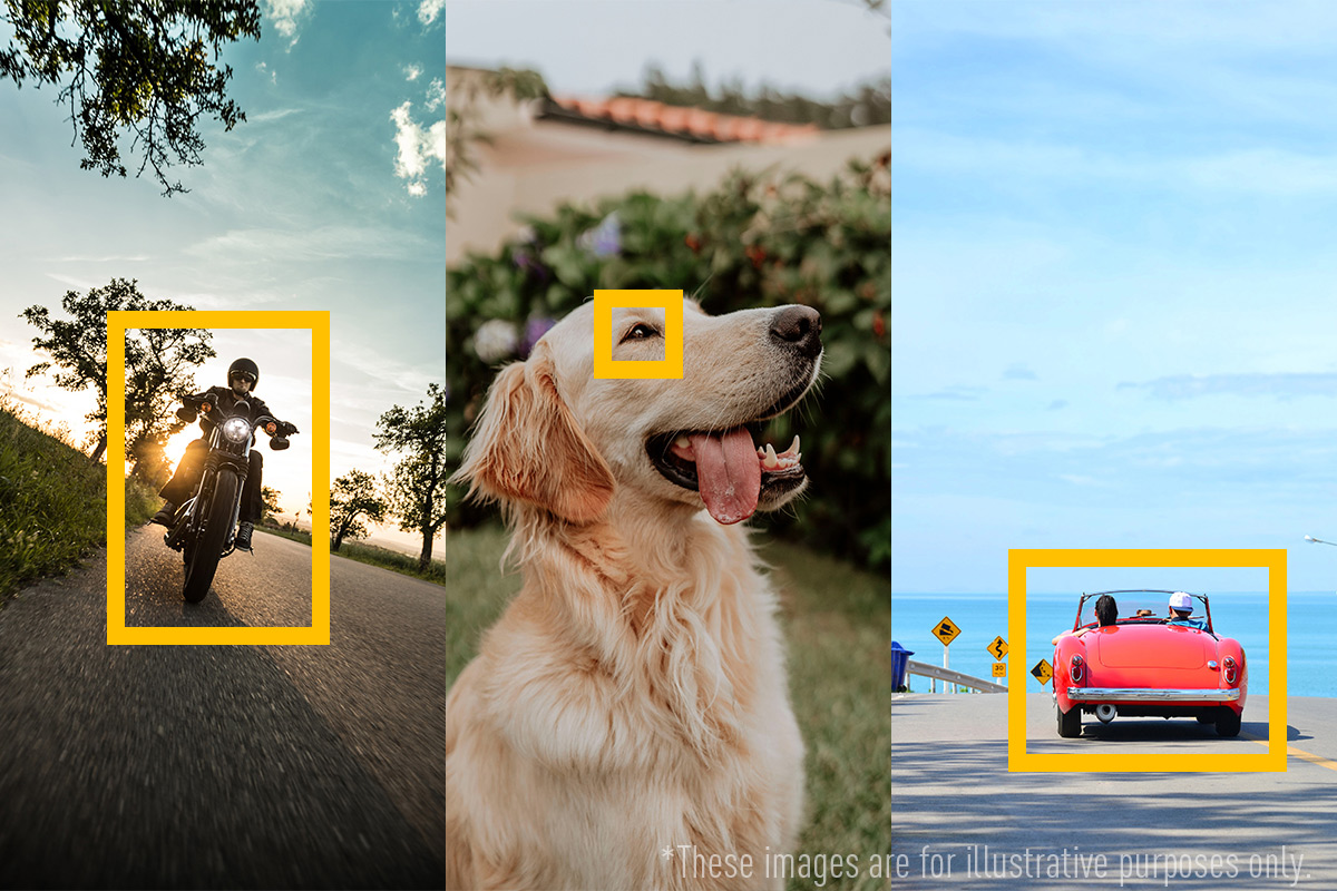 Ai-based Recognition Technology