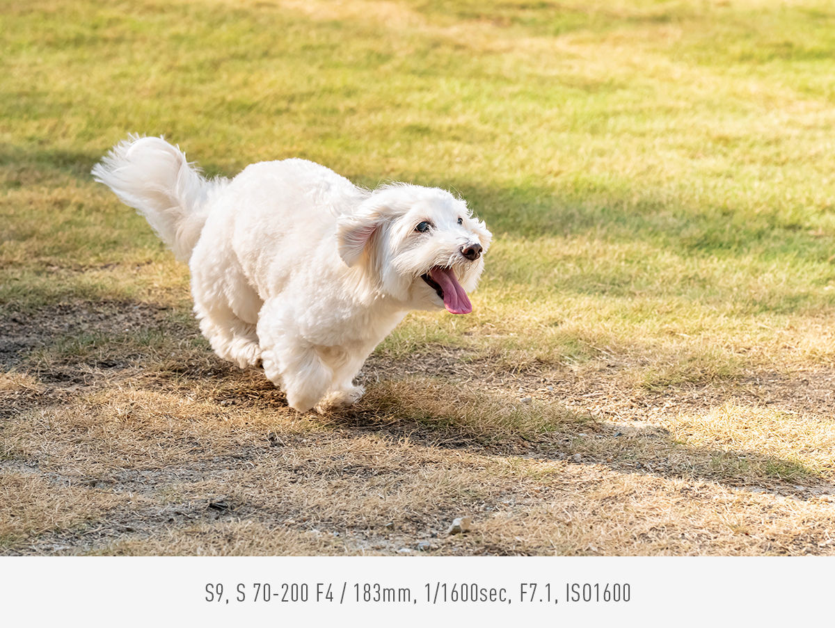 Trwale utrzymuje ostrość