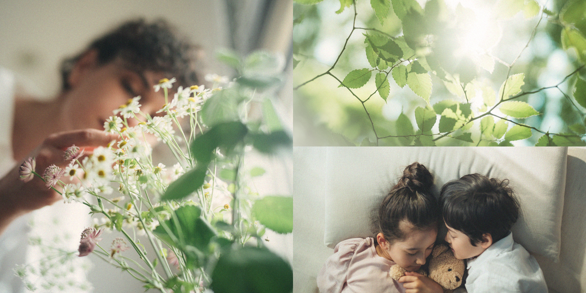 Environmentální pohoda