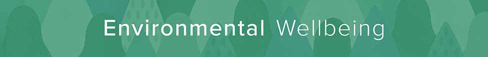 Environmental Wellbeing