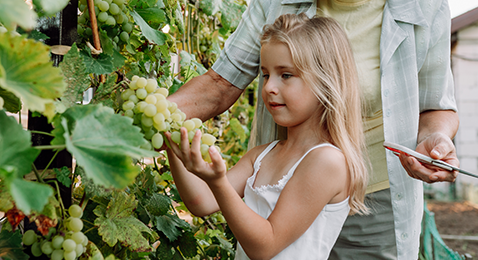 Panasonic GREEN IMPACT Promise