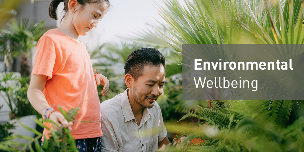 Environmental Wellbeing
