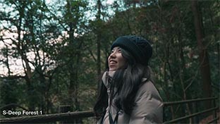 16 : S-Deep Forest