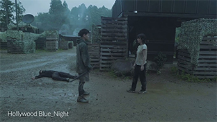 06 : HollywoodBlue_Night