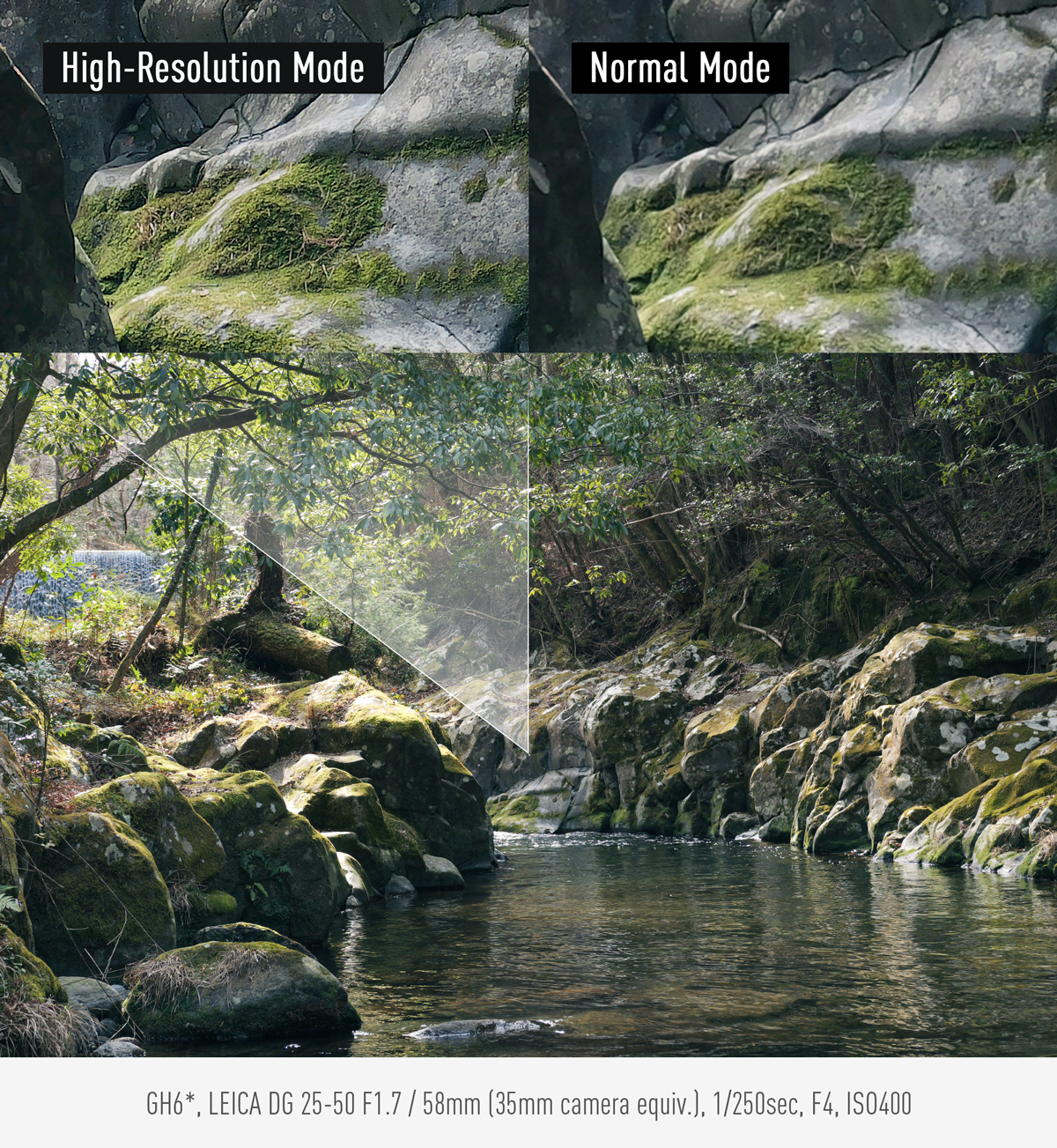 Tryb przenośny z wysoką rozdzielczością 100 MP