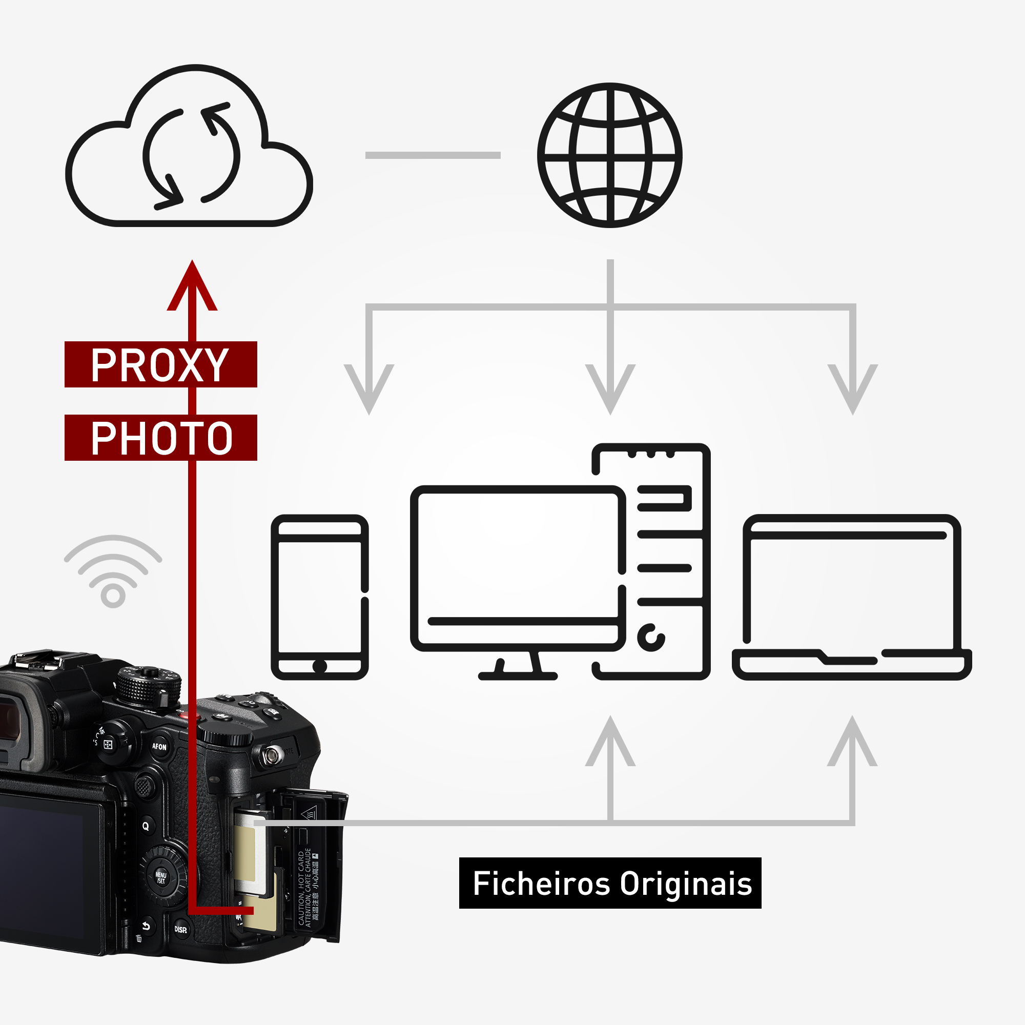 Compatibilidade com Adobe Camera to Cloud