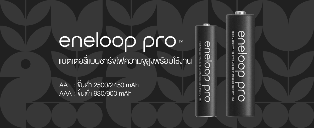 เพื่อวิถีชีวิตที่ยั่งยืน