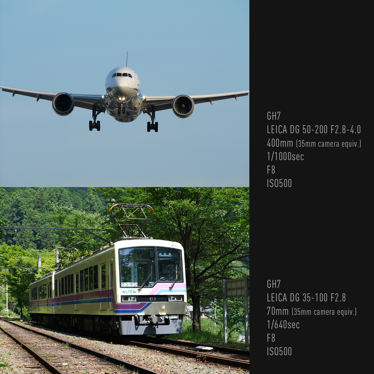 Człowiek/zwierzę/samochód/motocykl/pociąg/samolot