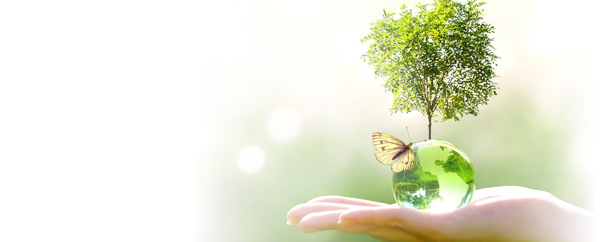 Environmental initiatives (Landline Telephone)