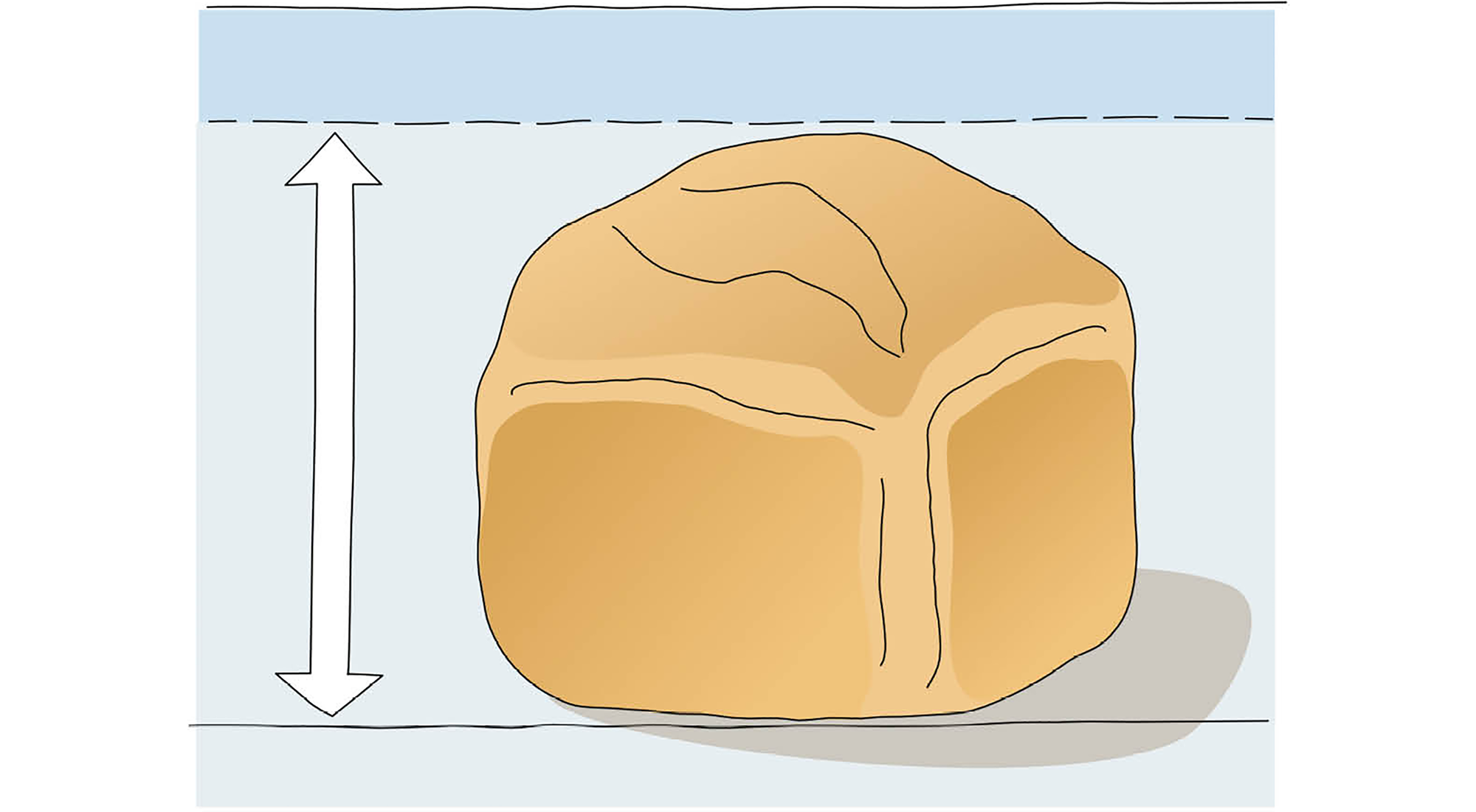 O pão não cresceu bem