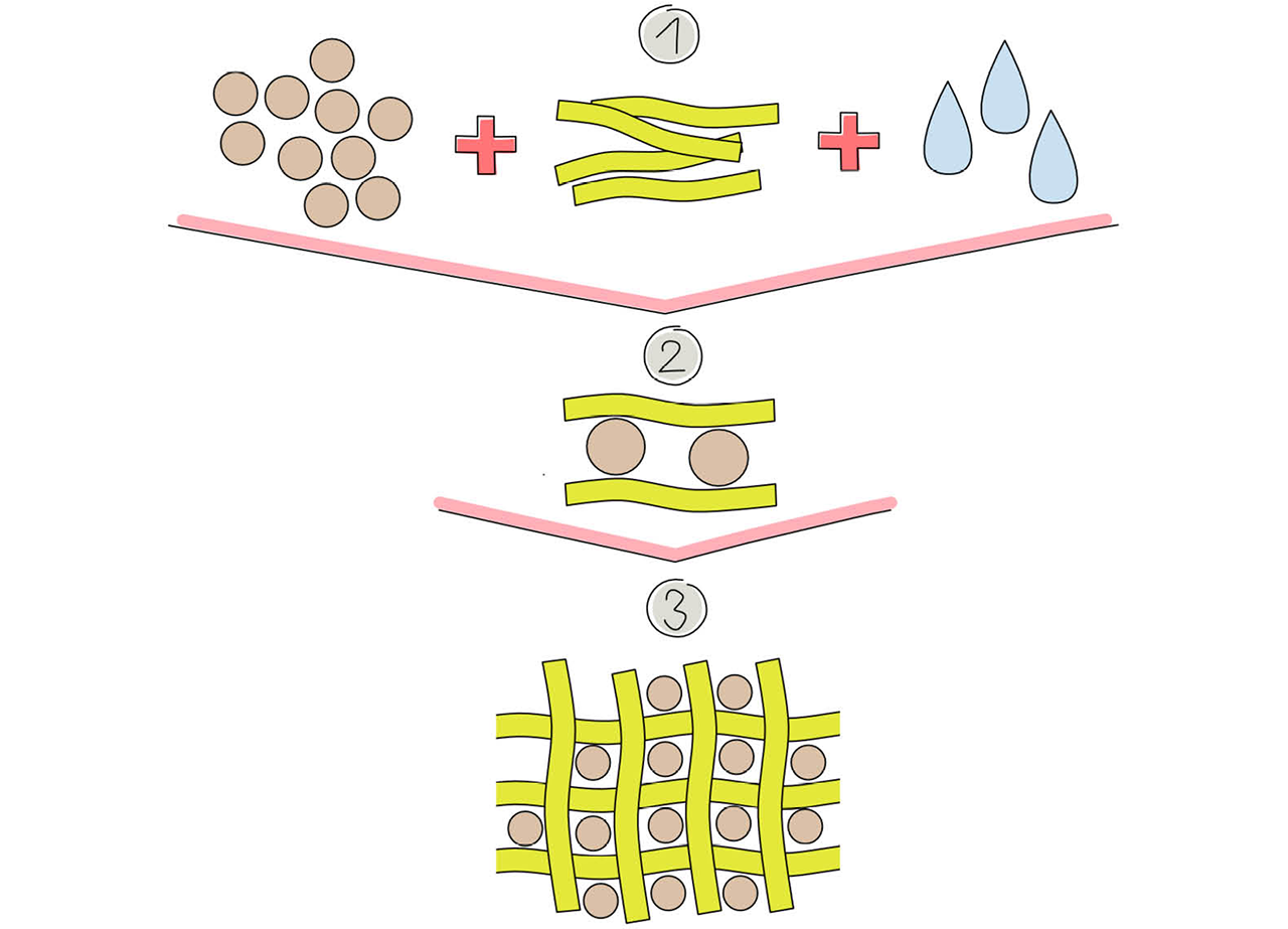 Porque é que o glúten é importante