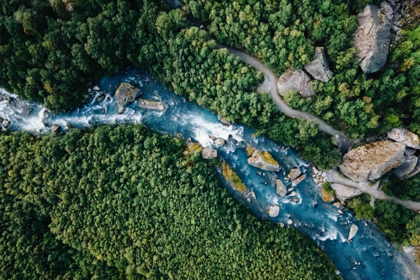 An image of a river flowing through the forest.