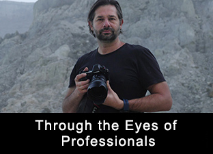 Through the Eyes of Professionals