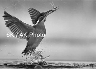 6K / 4K Photo